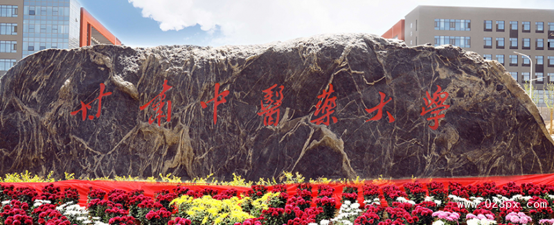 甘肅中醫(yī)藥大學(xué)