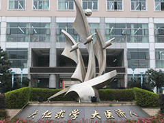 四川衛(wèi)生康復(fù)職業(yè)學(xué)院在哪里