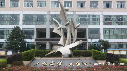 四川衛(wèi)生康復(fù)職業(yè)學(xué)院在哪里