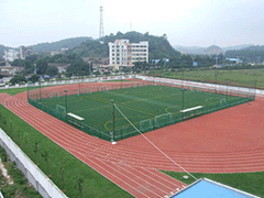 四川省體育運(yùn)動(dòng)學(xué)校在哪里