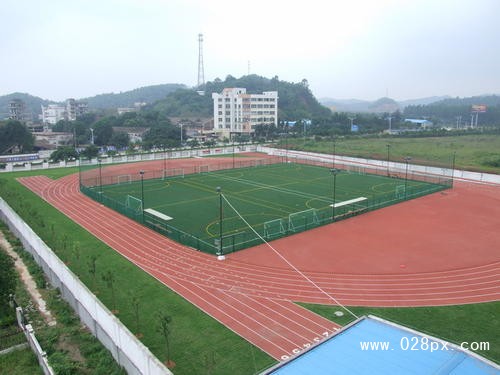 四川省體育運動學校在哪里