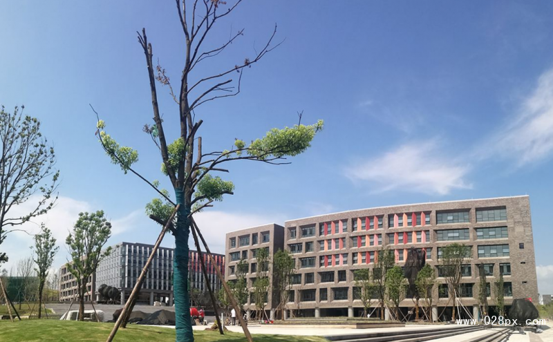 四川衛(wèi)生康復(fù)職業(yè)學(xué)院好不好
