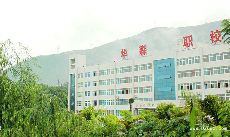攀枝花市華森職業(yè)學(xué)校地址
