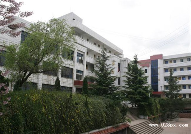 四川省古藺縣職業(yè)高級(jí)中學(xué)校收費(fèi)標(biāo)準(zhǔn)