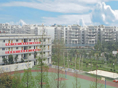 成都市洞子口職業(yè)高級中學校在哪里