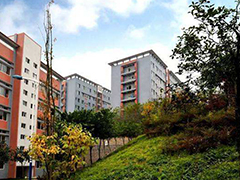 四川省綿竹市職業(yè)中專學校招生