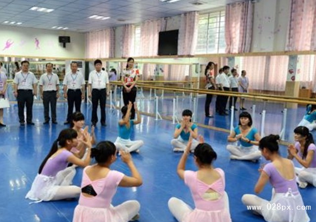 攀枝花幼師學(xué)校有哪些