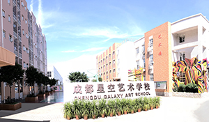 成都星空單招培訓學校