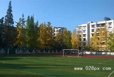 四川省崇州市職業(yè)中專學(xué)校報(bào)名