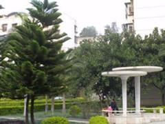 攀枝花市經(jīng)貿(mào)旅游學(xué)校在哪里
