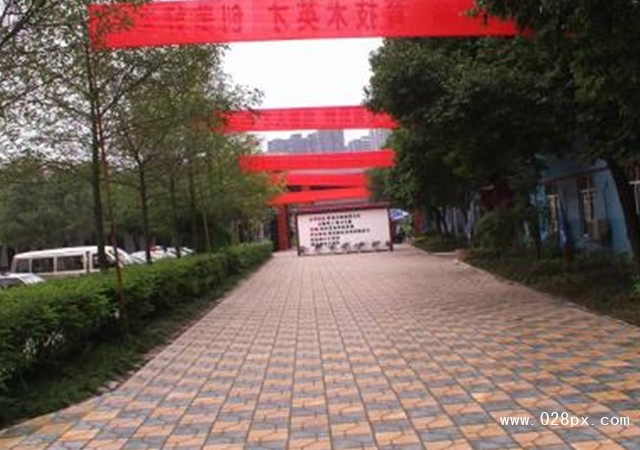 成都棠湖科學技術學校好不好
