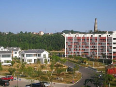 成都市文化藝術(shù)學(xué)校的費(fèi)用
