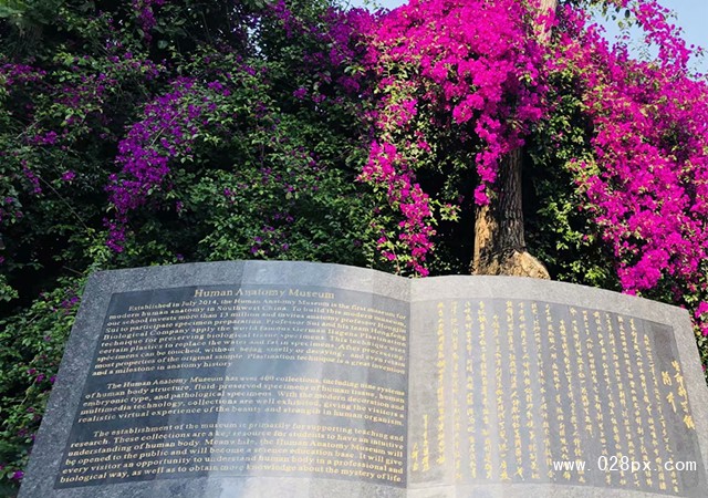 成都華大醫(yī)藥衛(wèi)生學(xué)校是公辦還是民辦