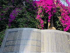 成都華大醫(yī)藥衛(wèi)生學(xué)校是公辦還是民辦