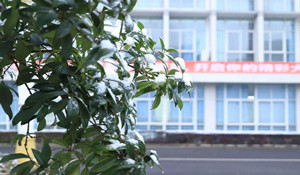 德陽科貿(mào)職業(yè)學(xué)院