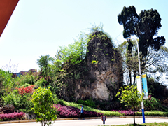 航空職業(yè)學(xué)校