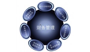 財(cái)務(wù)管理專業(yè)