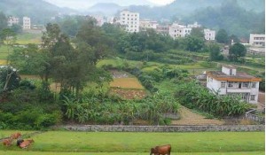 農(nóng)村行政與經(jīng)濟管理
