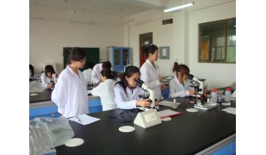 生物制藥技術(shù)