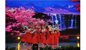 表演藝術(shù)