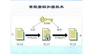 計(jì)算機(jī)技術(shù)與應(yīng)用