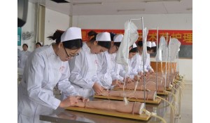 護(hù)理專業(yè)