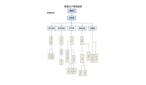 服裝設(shè)計與企業(yè)管理