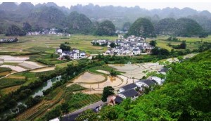 農(nóng)村經(jīng)濟(jì)綜合管理