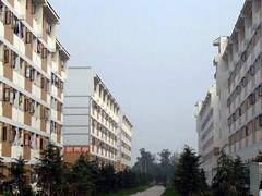 成都金沙職業(yè)技術(shù)學(xué)校招生計劃
