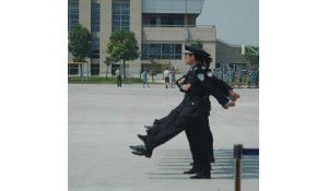 法律事務(wù)(國防專業(yè))