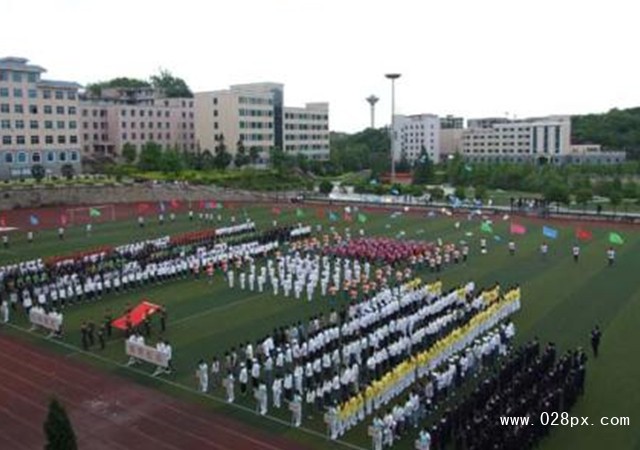 貴州職業(yè)技術(shù)學(xué)院招生分?jǐn)?shù)線