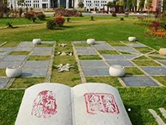 貴州裝備制造職業(yè)學(xué)院招生分?jǐn)?shù)線