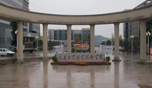 重慶工業(yè)職業(yè)技術(shù)學(xué)院