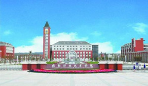 成都職業(yè)技術(shù)學校