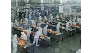 食品加工技術(shù)