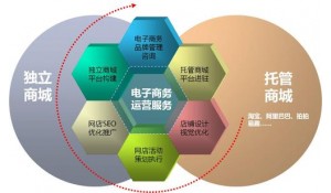 電子商務(wù)