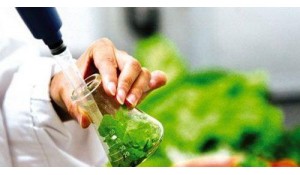 食品質(zhì)量與安全
