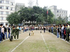 ?瀘州市鵬程中等職業(yè)學校招生分數線