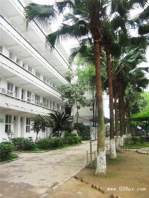 瀘州市鵬程中等職業(yè)學(xué)校有哪些專業(yè)