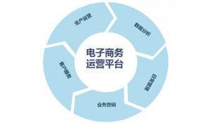 電子商務(wù)