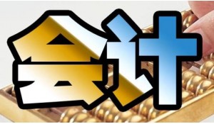 電算會(huì)計(jì)