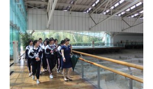 旅游服務與管理