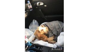 畜牧獸醫(yī)