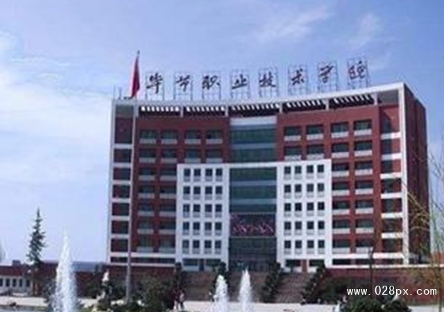 畢節(jié)職業(yè)技術(shù)學(xué)院招生計(jì)劃