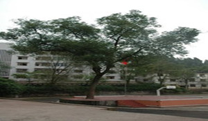 蓬安縣濟(jì)渡職業(yè)中學(xué)