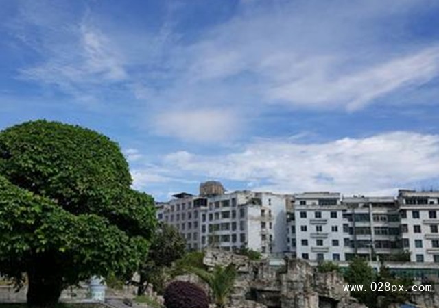 六盤水市鐘山區(qū)職業(yè)技術(shù)學(xué)校招生計(jì)劃
