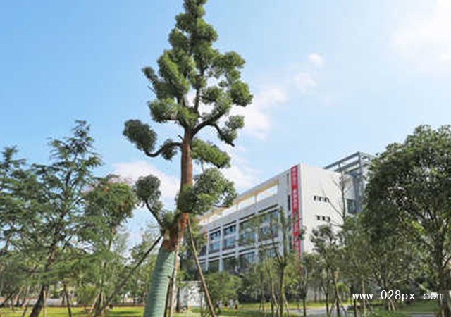 遵義重美職業(yè)技術(shù)學(xué)校有哪些專業(yè)