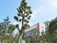 遵義重美職業(yè)技術(shù)學(xué)校有哪些專業(yè)