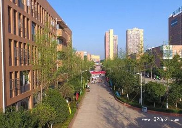四川希望汽車職業(yè)學(xué)院地址