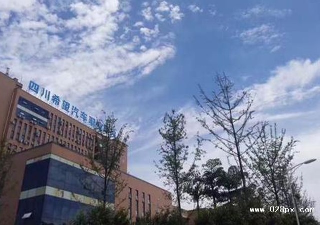 四川希望汽車職業(yè)學(xué)院招生計(jì)劃